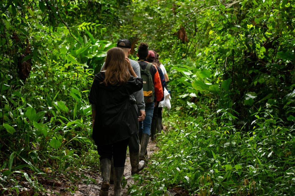 couple hiking amazon rainforest