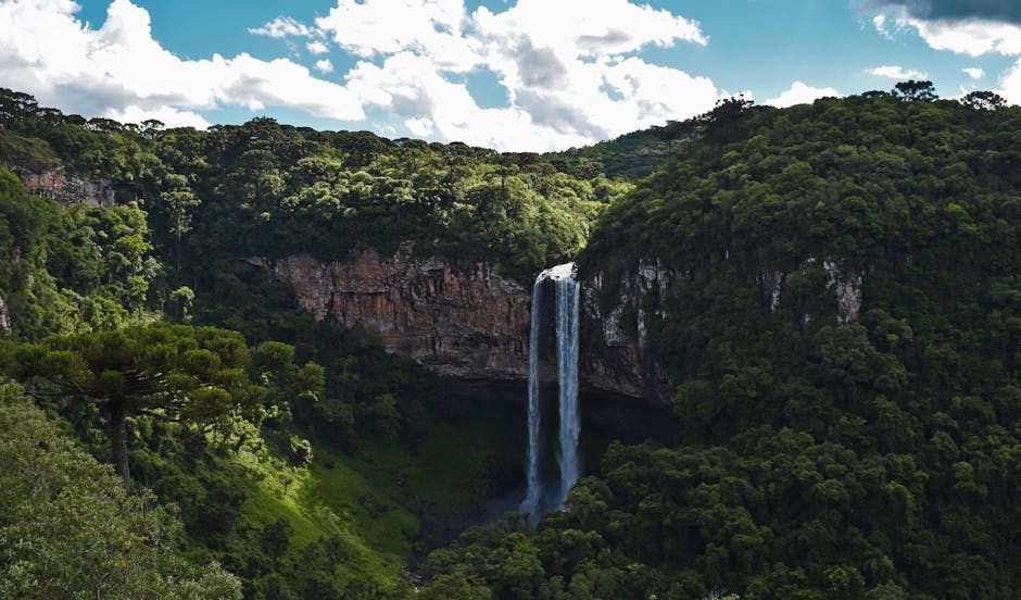 waterfall in lush green forest brazil
