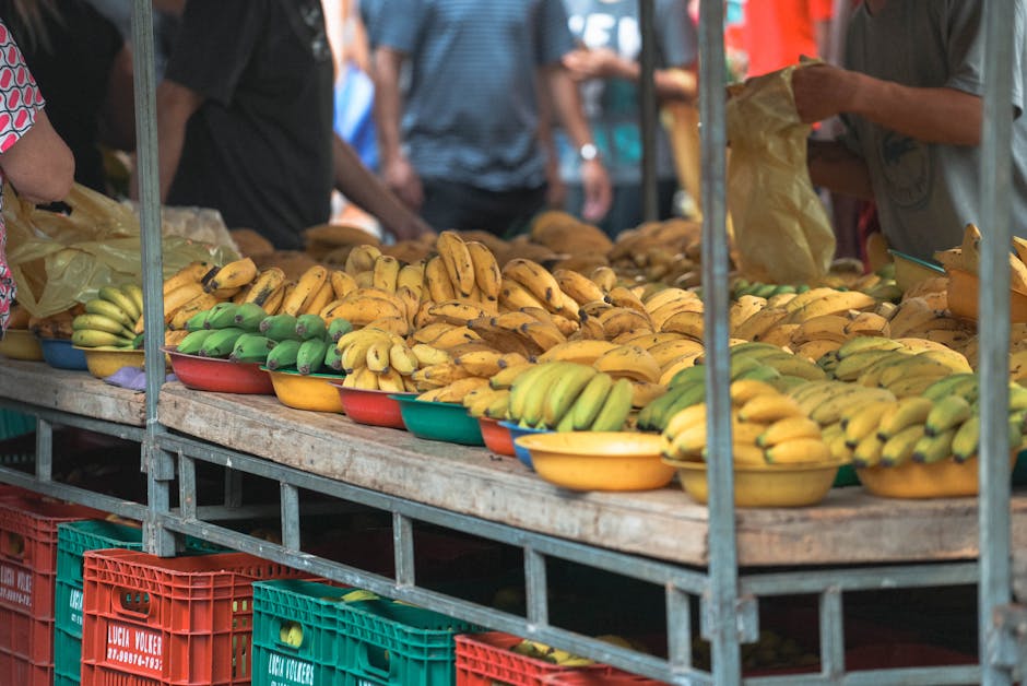 colorful street food market Brazil