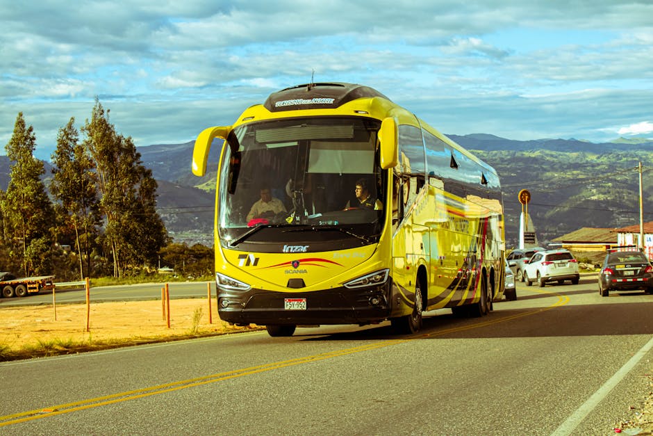long-distance bus Brazil scenic route