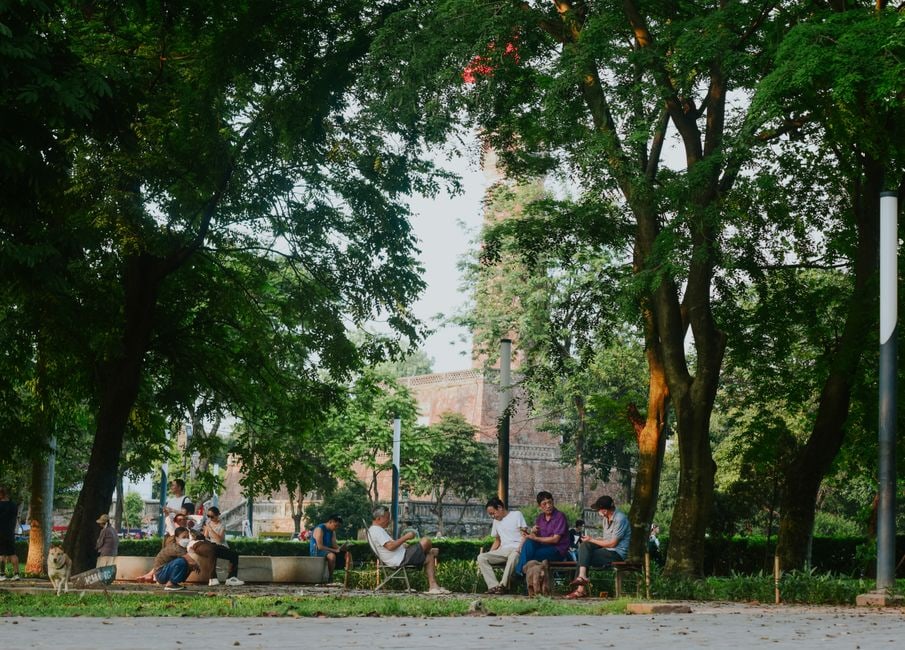 An aerial view of a vibrant green urban park providing a stark contrast to the surrounding concrete buildings, emphasizing the cooling effect of nature.