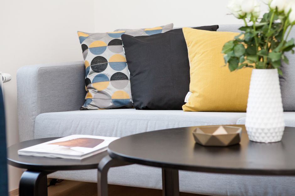 A close-up of a living room corner in a rental, highlighting a textured throw blanket, decorative cushions, and a lush green plant on a side table, demonstrating budget-friendly ways to add warmth.
