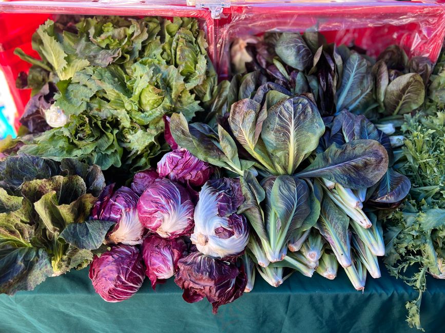 An aerial view of a vibrant, open-air local market filled with fresh fruits, vegetables, and local vendors, highlighting value travel.