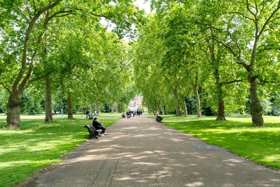 Individuals walking and cycling on a paved path through a serene urban park, with mature trees and a city skyline visible in the distance.