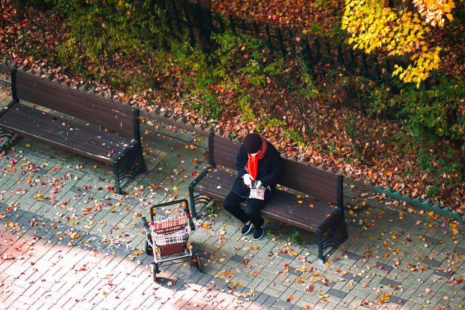 A person reading a book peacefully on a wooden park bench, surrounded by green trees and distant city buildings, embodying a relaxing self-care weekend.