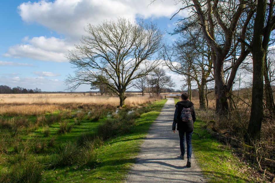 A person taking a refreshing walk outdoors in a park during a workday break, enjoying nature and fresh air.