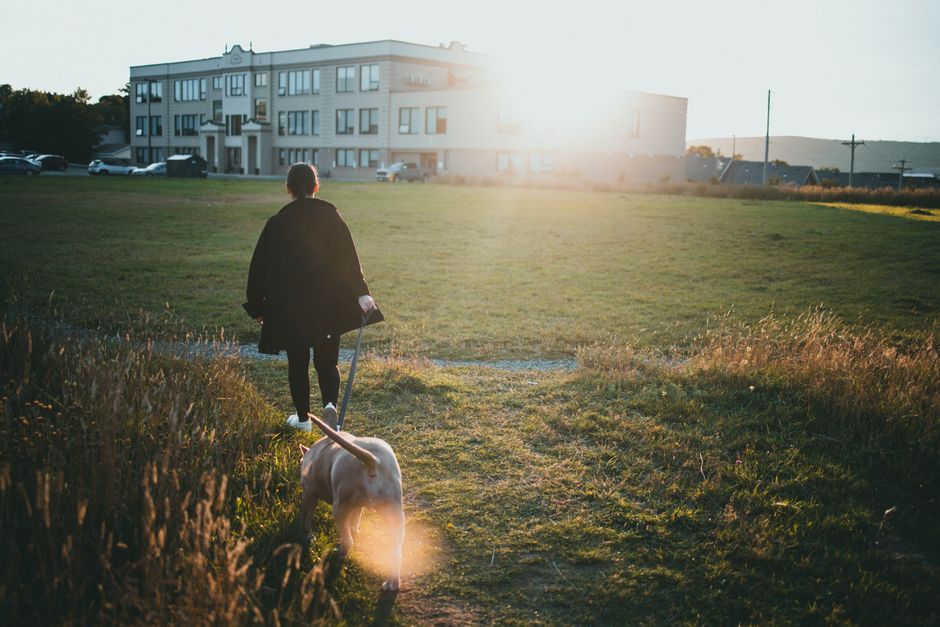 A person taking a mindful break from remote work, walking their dog on a leash through a sunlit city park, looking relaxed.