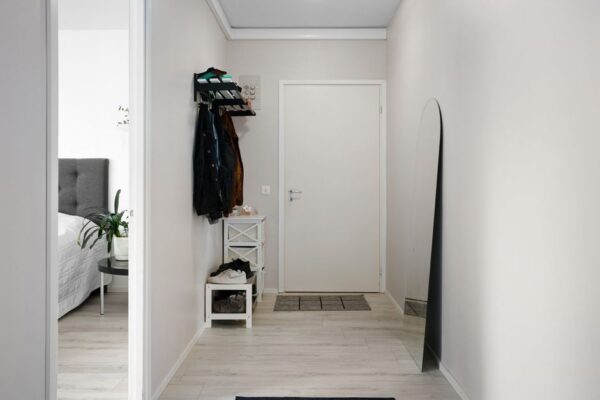 A neatly organized small apartment entryway with a narrow white shoe cabinet, wall-mounted hooks, and a small plant.