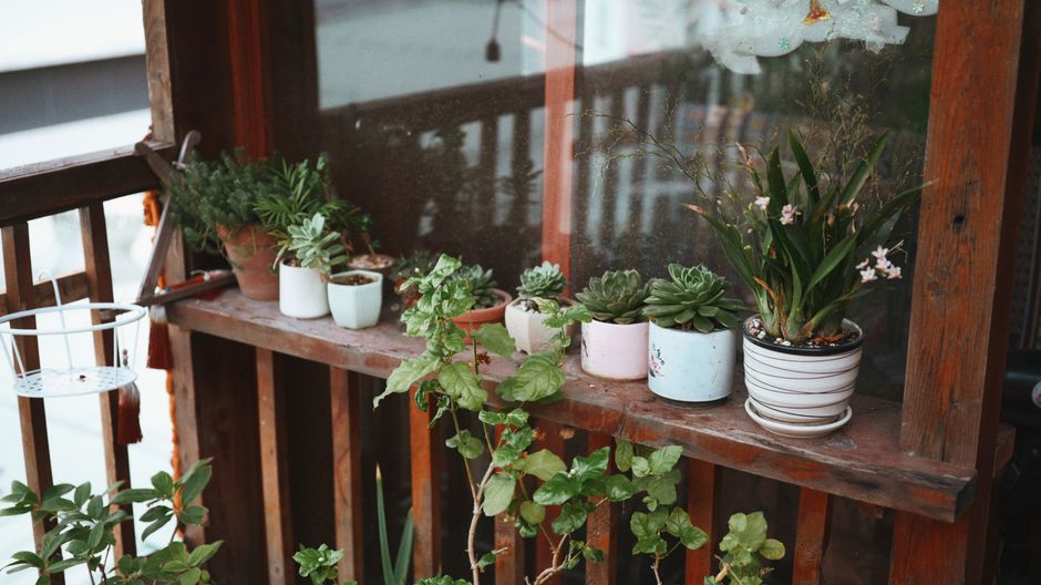 A neatly arranged collection of different succulents and cacti in diverse, lightweight containers on a modern balcony railing.