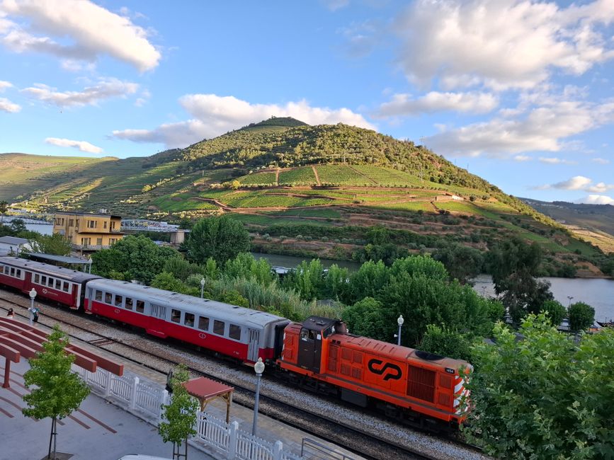 A classic train winding its way through terraced vineyards along a river in the Douro Valley, Portugal, under a clear sky.
