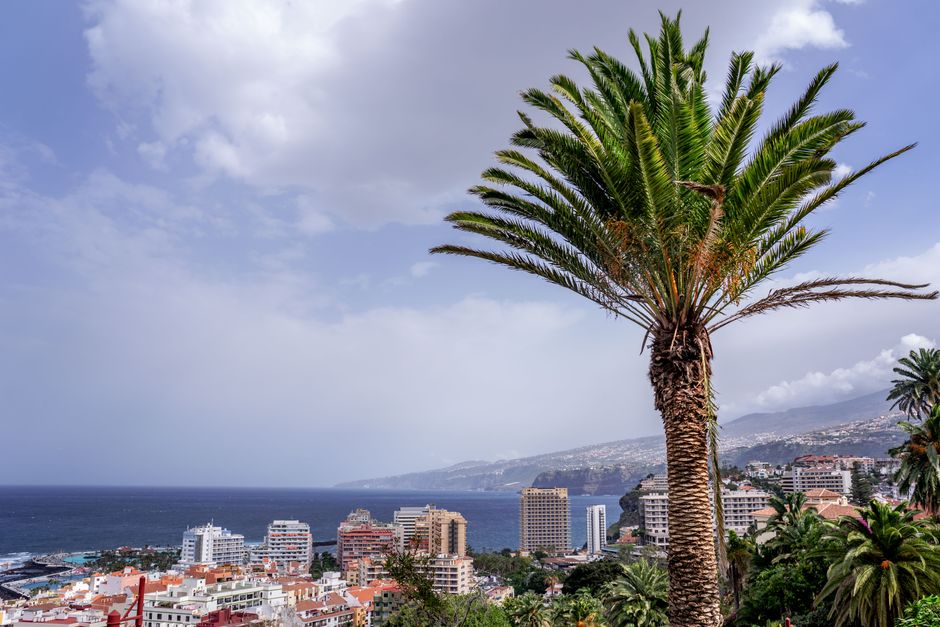 An colorful in-game screenshot of a bustling tropical island city, with diverse buildings, palm trees, and clear blue waters under a sunny sky.