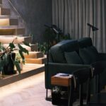A cozy, modern urban apartment living room with various houseplants thriving in indirect, ambient light near a window.