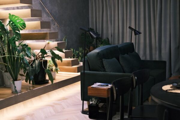 A cozy, modern urban apartment living room with various houseplants thriving in indirect, ambient light near a window.