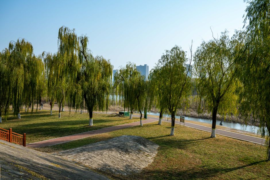 A winding paved path through a lush green urban park with mature trees, ideal for a morning walk.