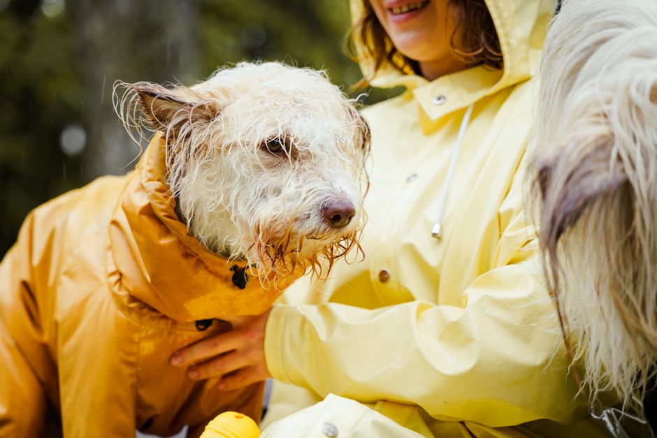 A diverse collection of waterproof coats hanging on a rack, including technical shells, classic trenches, and waxed jackets, highlighting options for rainy day style that works for different occasions.