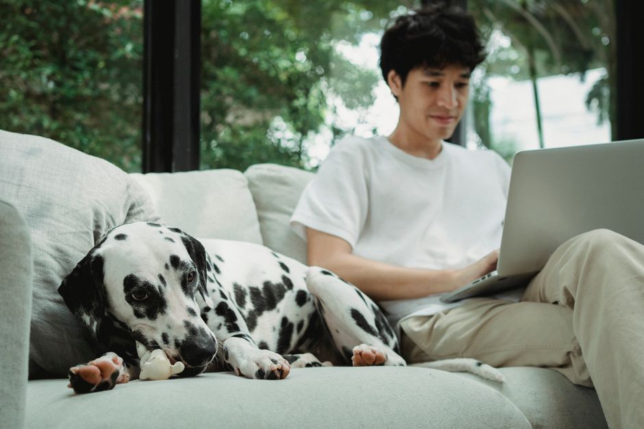 A woman smiling as she walks her dog outdoors, leaving her laptop closed on a table at home in the background, depicting a clear work-life boundary.
